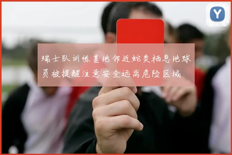 瑞士队训练基地邻近蛇类栖息地球员被提醒注意安全远离危险区域