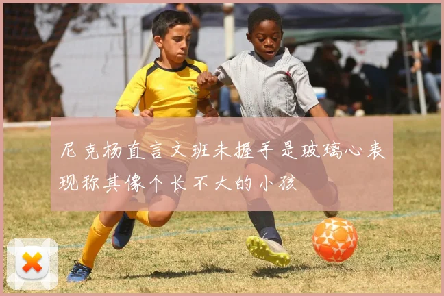 尼克杨直言文班未握手是玻璃心表现称其像个长不大的小孩