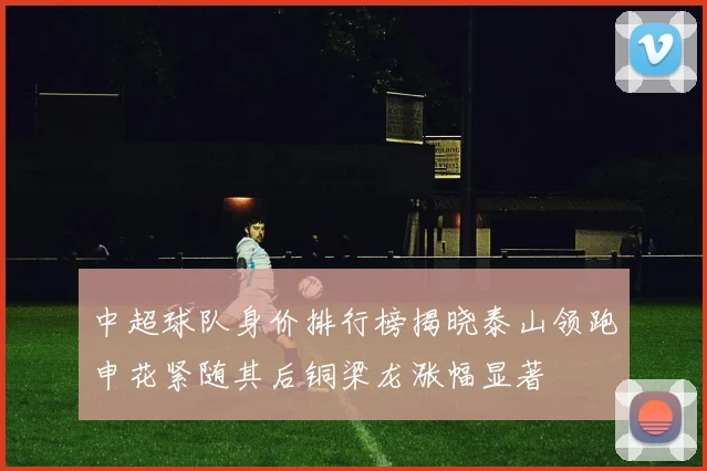 中超球队身价排行榜揭晓泰山领跑申花紧随其后铜梁龙涨幅显著