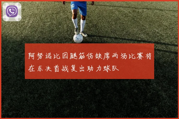 阿努诺比因腿筋伤缺席两场比赛将在东决首战复出助力球队